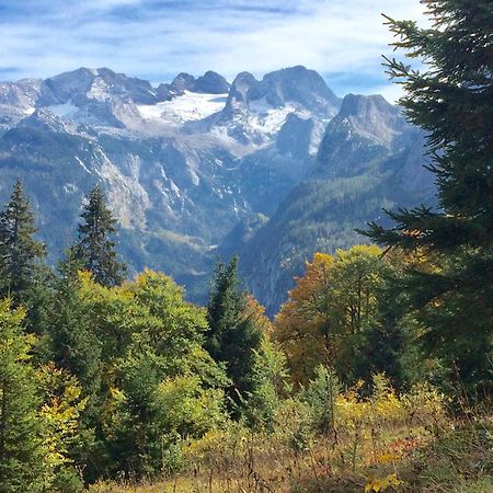 Dachstein Mountainview Gosau Apartment Екстериор снимка