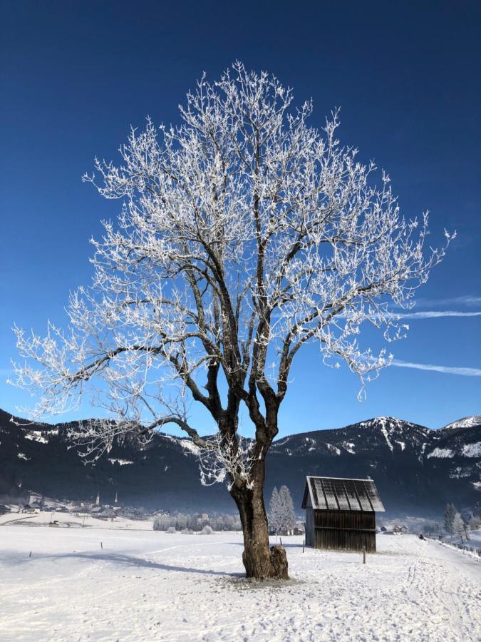 Dachstein Mountainview Gosau Apartment Екстериор снимка