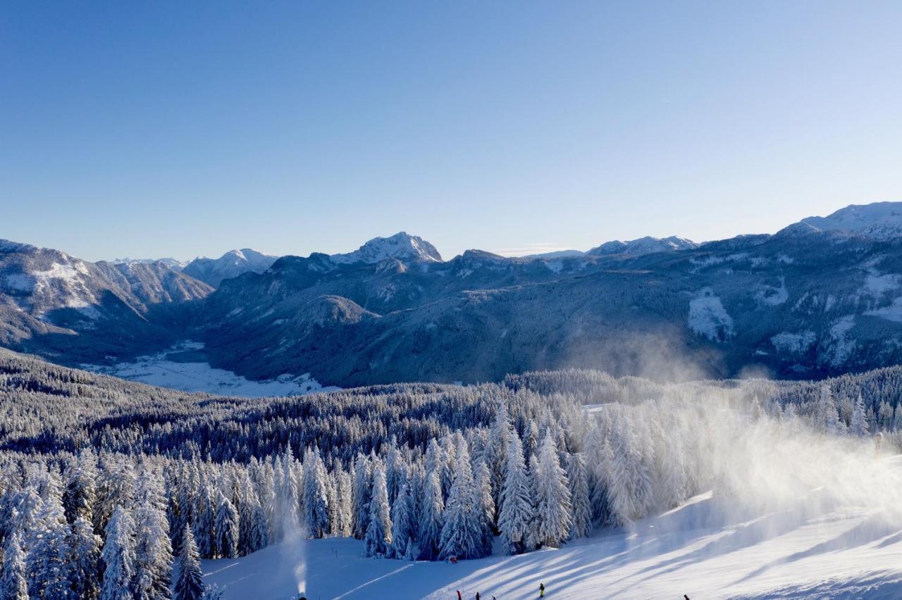 Dachstein Mountainview Gosau Apartment Екстериор снимка
