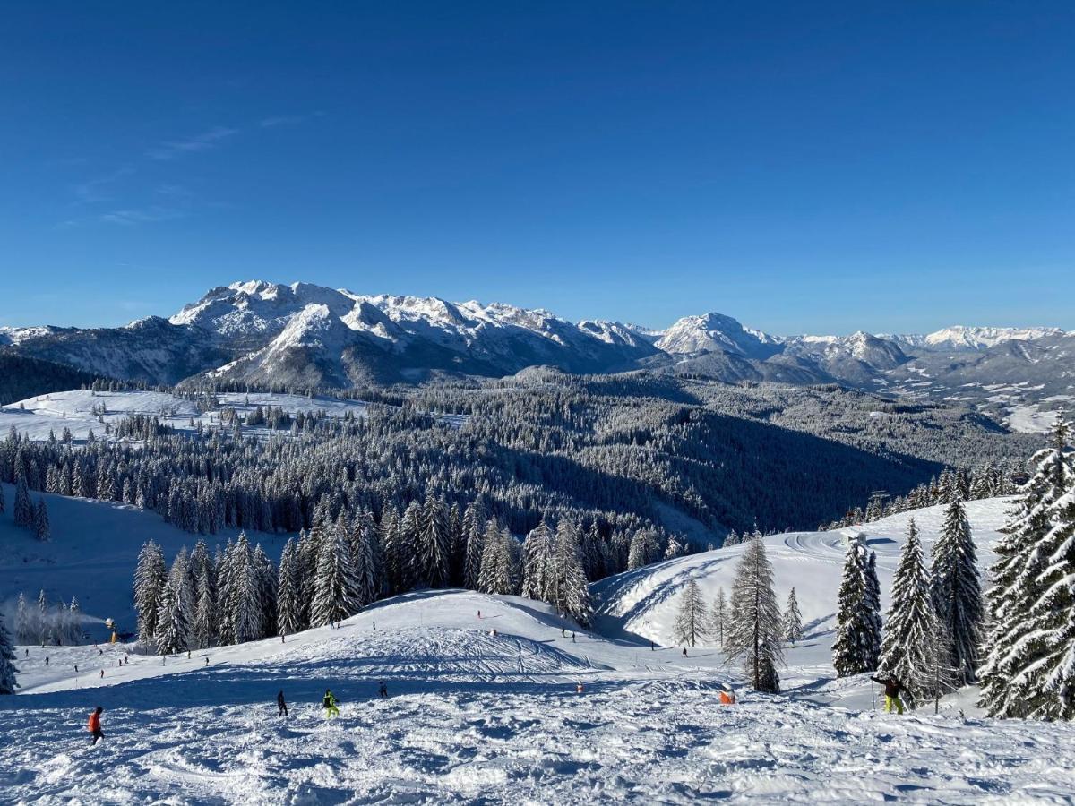 Dachstein Mountainview Gosau Apartment Екстериор снимка
