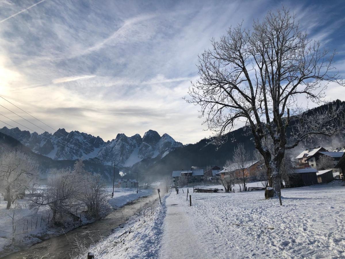 Dachstein Mountainview Gosau Apartment Екстериор снимка