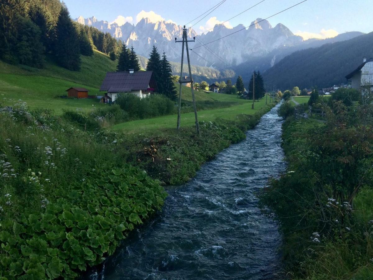 Dachstein Mountainview Gosau Apartment Екстериор снимка