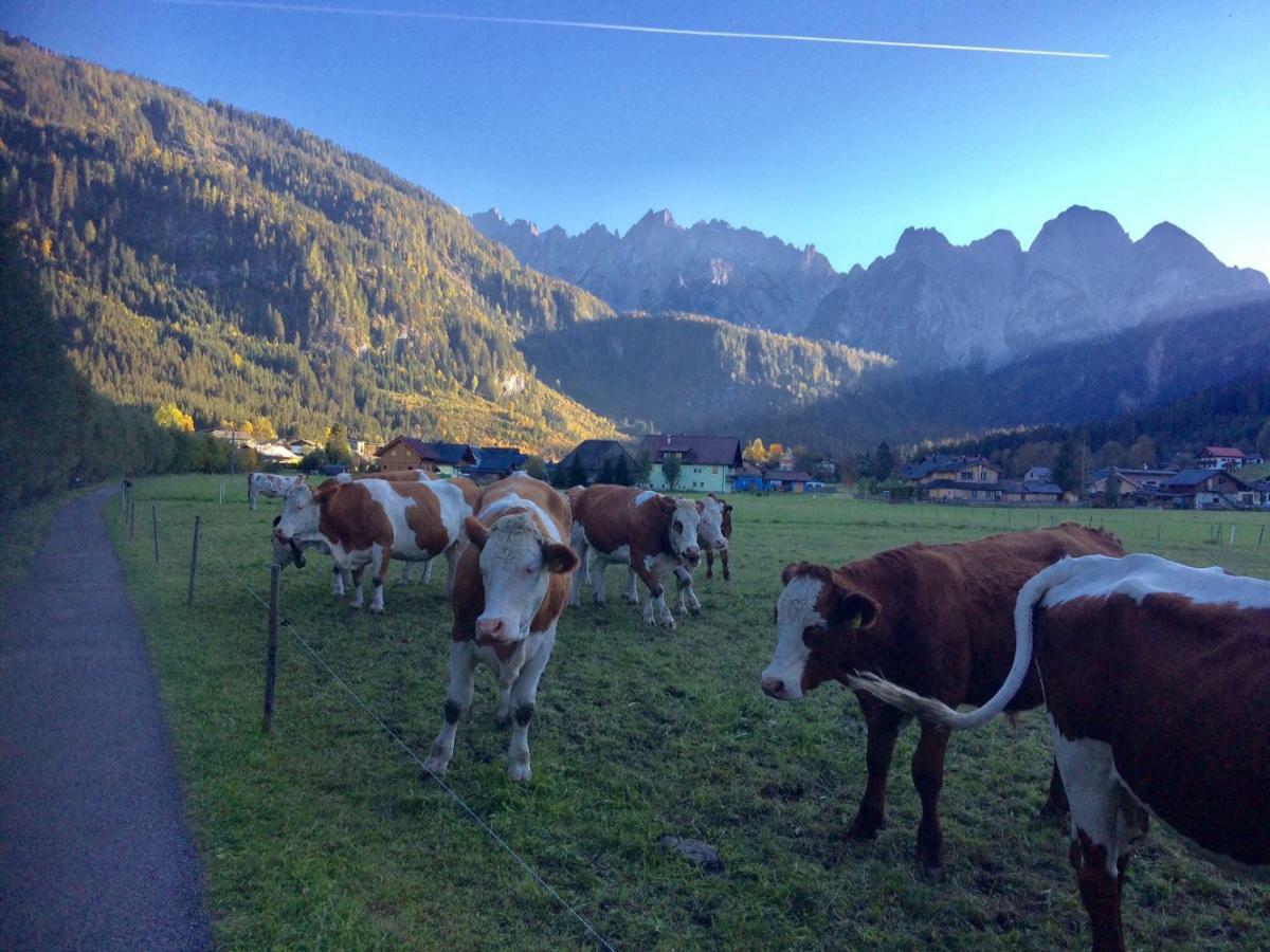 Dachstein Mountainview Gosau Apartment Екстериор снимка