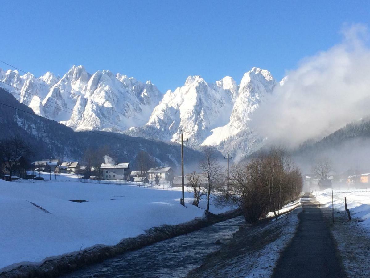 Dachstein Mountainview Gosau Apartment Екстериор снимка