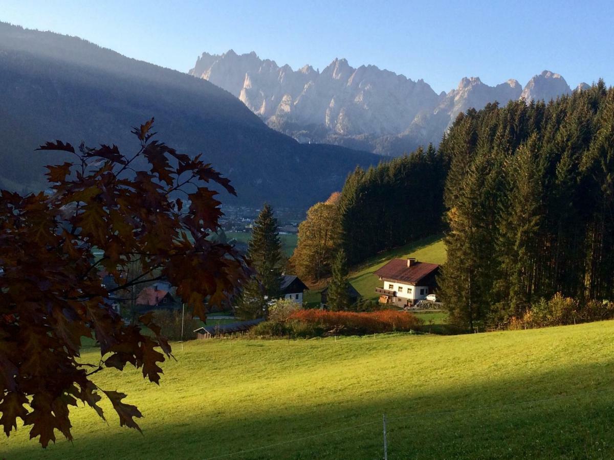 Dachstein Mountainview Gosau Apartment Екстериор снимка